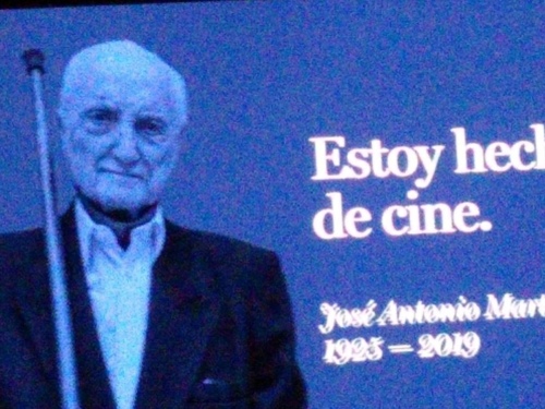 Festival de Mar del Plata 